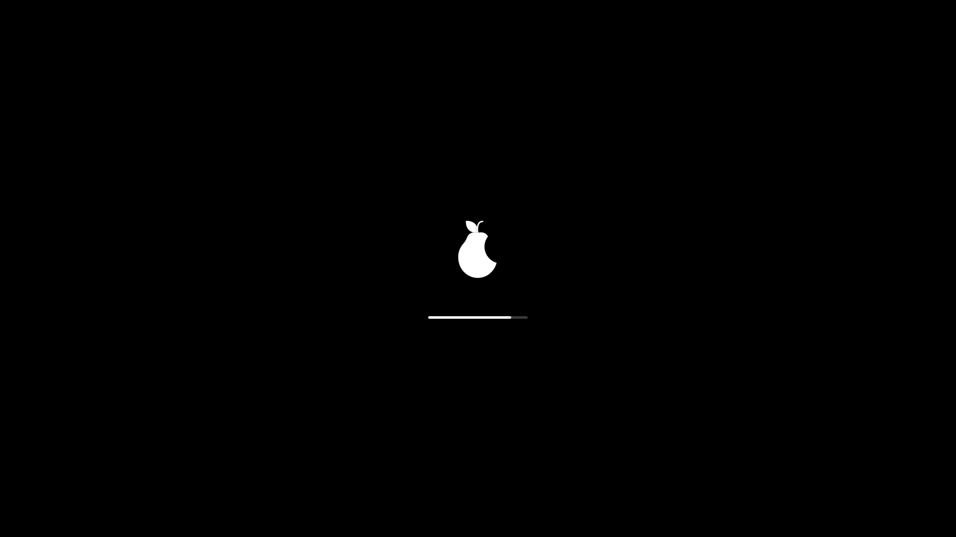 Starting up. The guava and a progress bar on black. No scrolling text, unless you ask for it.