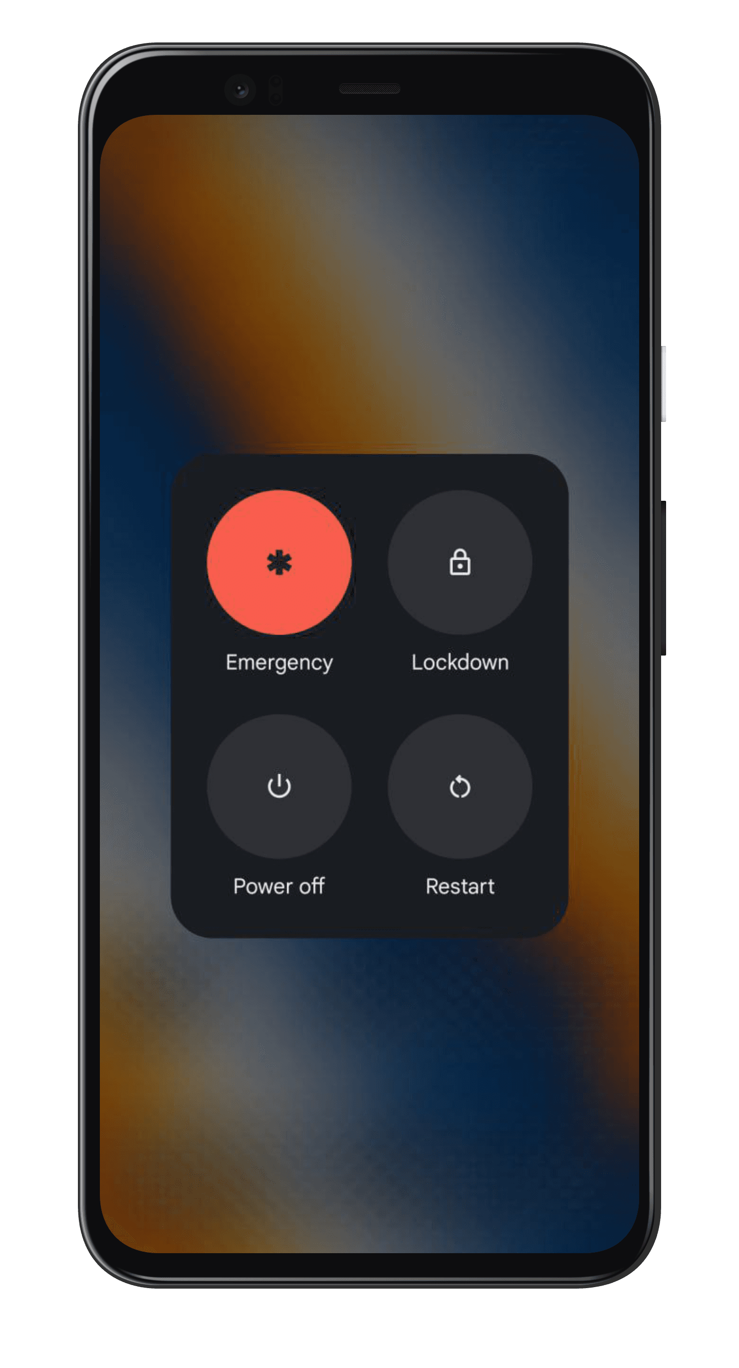 Power menu. Emergency, lockdown, power off and restart, sized for a thumb rather than a cursor.